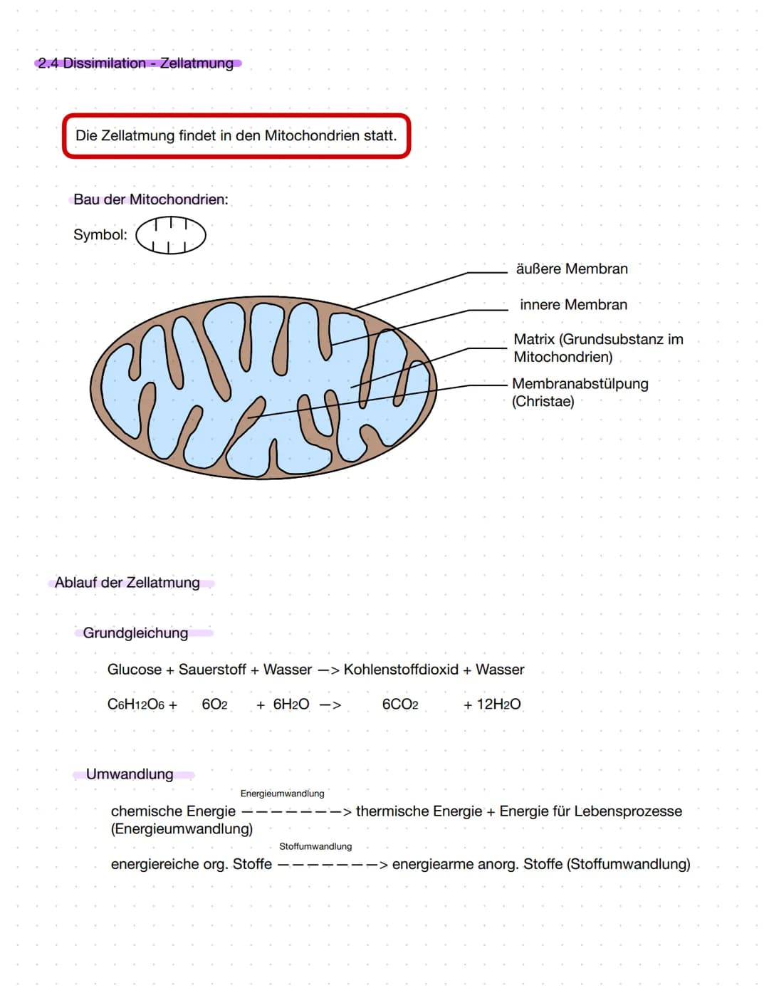 2.1 Ernährungsweise bei Lebewesen
autotroph
Assimilation
Aufbau körpereigener energiereicher
organischer Stoffe
Aufnahme körperfremder,
ener