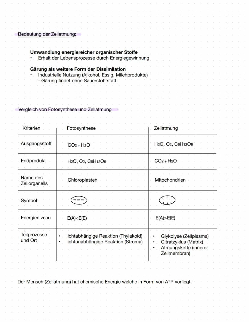 2.1 Ernährungsweise bei Lebewesen
autotroph
Assimilation
Aufbau körpereigener energiereicher
organischer Stoffe
Aufnahme körperfremder,
ener