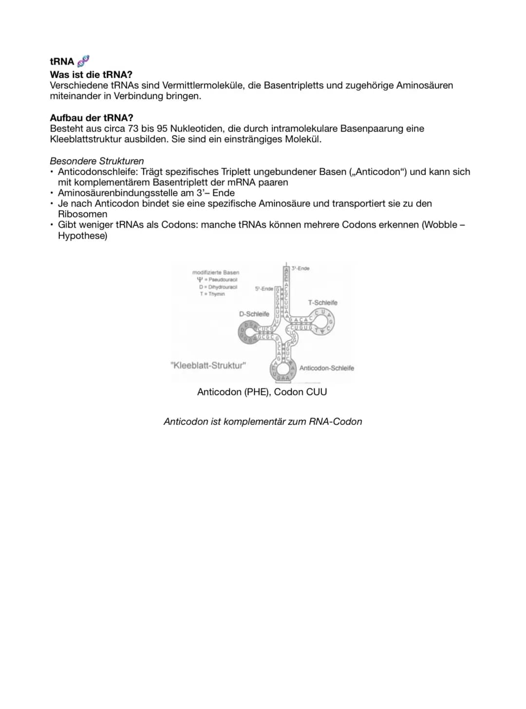 tRNA
Was ist die tRNA?
Verschiedene tRNAs sind Vermittlermoleküle, die Basentripletts und zugehörige Aminosäuren
miteinander in Verbindung b