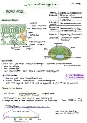 Know stoffwechselphysiologie thumbnail