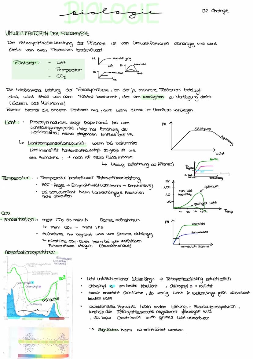 Aufbau von Blättem
PHOTOSYNTHESE
•
spaltöffnung
/ Stroma
Licht kann als :
Z
violett
400
00€
8-Strahlen, UV
Röntgenstrahlen
منهمهمنم
Kutikula