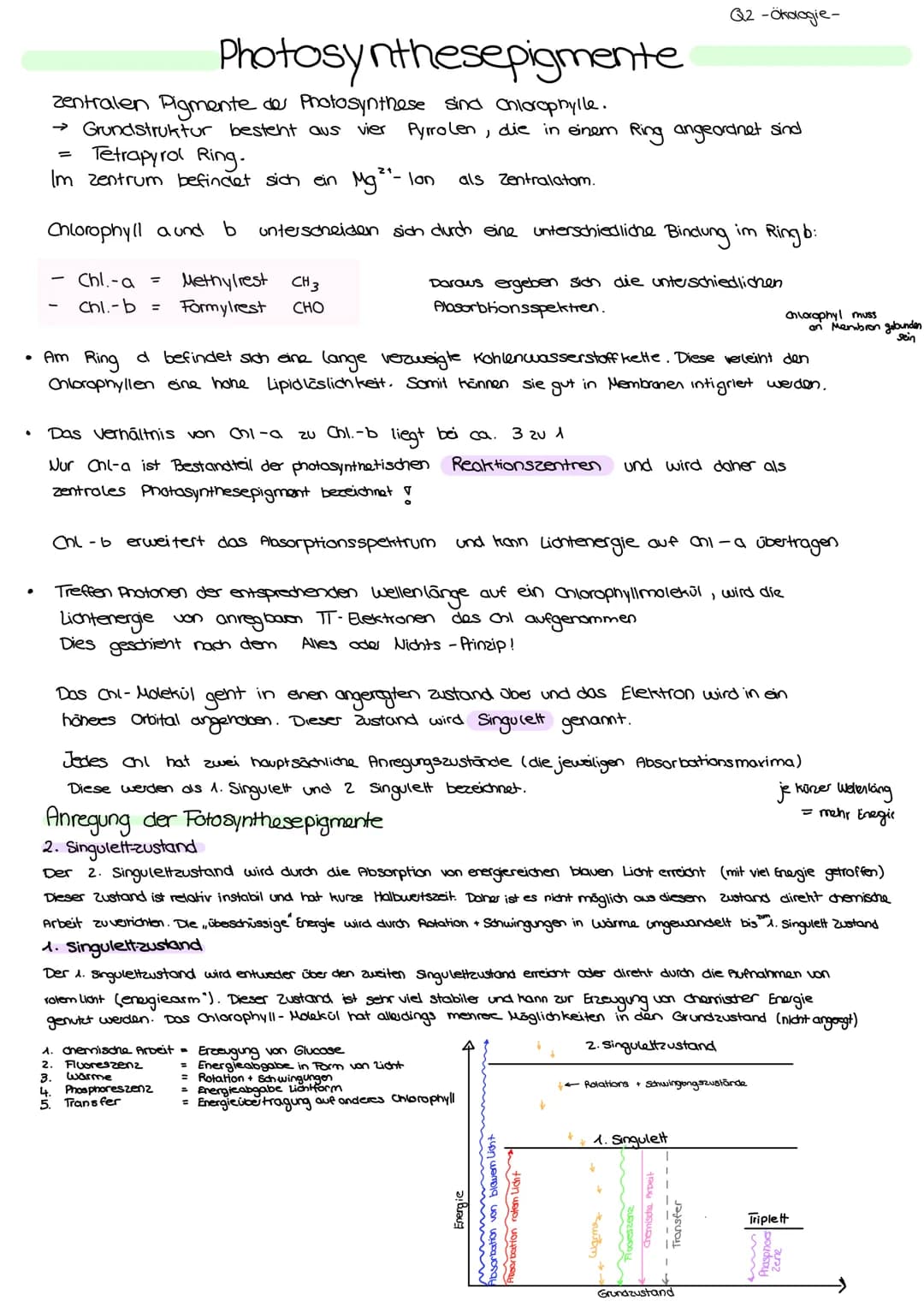 Aufbau von Blättem
PHOTOSYNTHESE
•
spaltöffnung
/ Stroma
Licht kann als :
Z
violett
400
00€
8-Strahlen, UV
Röntgenstrahlen
منهمهمنم
Kutikula