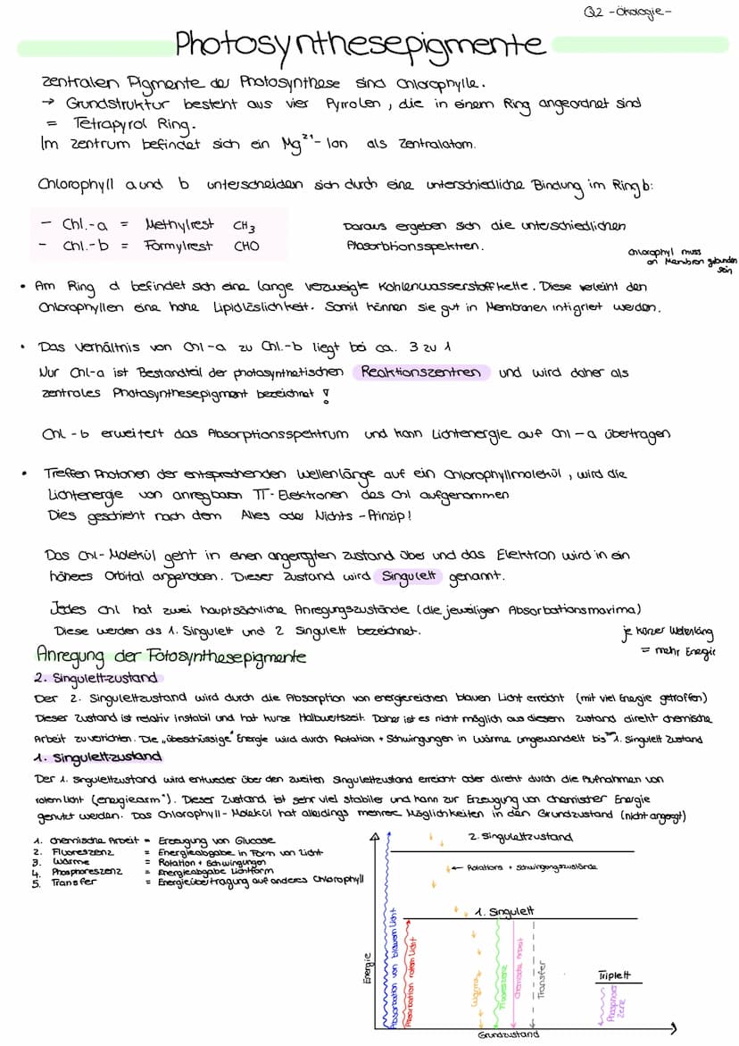 Aufbau von Blättem
PHOTOSYNTHESE
•
spaltöffnung
/ Stroma
Licht kann als :
Z
violett
400
00€
8-Strahlen, UV
Röntgenstrahlen
منهمهمنم
Kutikula