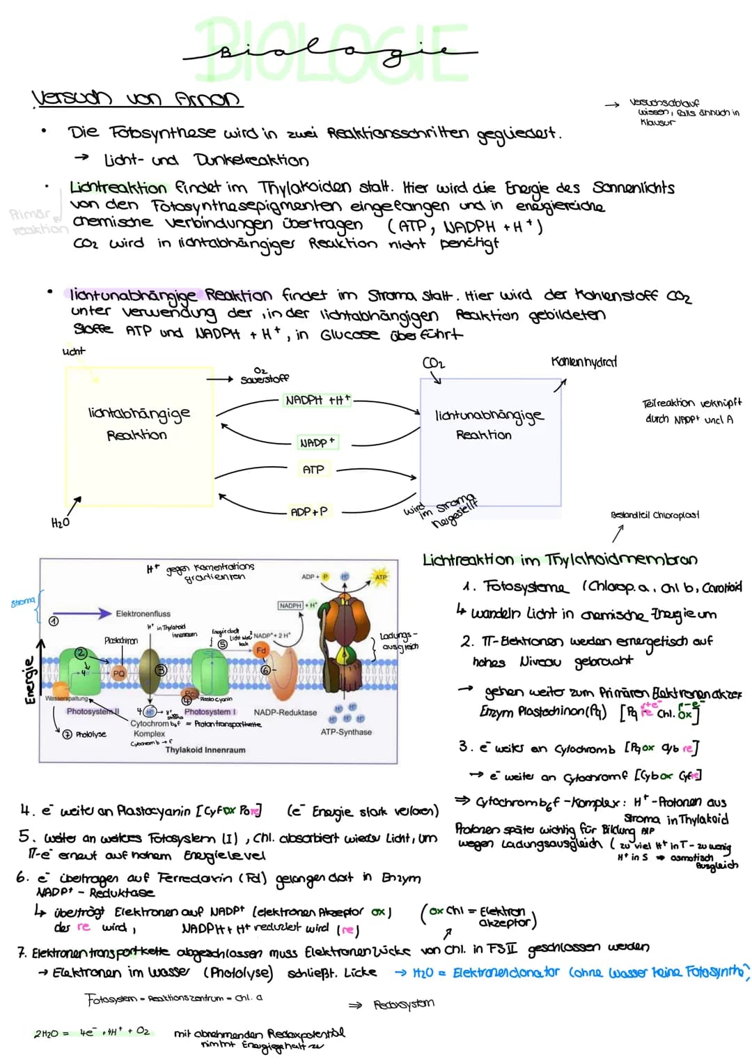 Aufbau von Blättem
PHOTOSYNTHESE
•
spaltöffnung
/ Stroma
Licht kann als :
Z
violett
400
00€
8-Strahlen, UV
Röntgenstrahlen
منهمهمنم
Kutikula