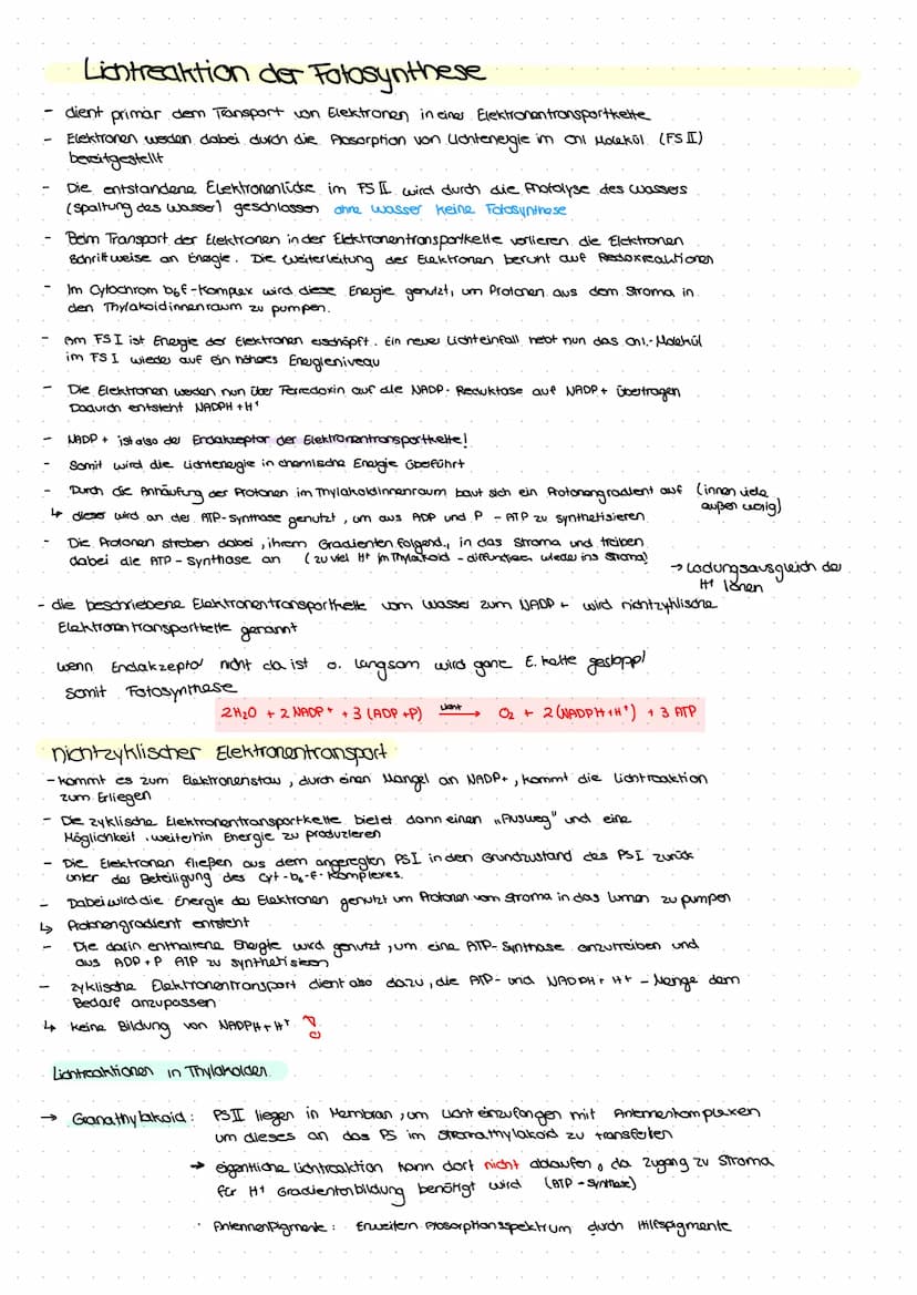 Aufbau von Blättem
PHOTOSYNTHESE
•
spaltöffnung
/ Stroma
Licht kann als :
Z
violett
400
00€
8-Strahlen, UV
Röntgenstrahlen
منهمهمنم
Kutikula