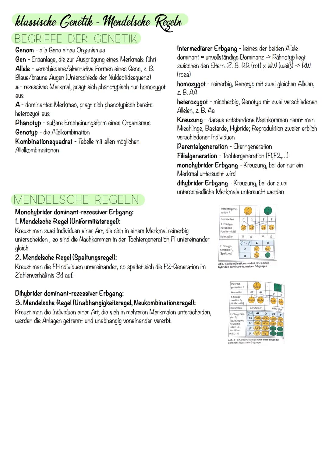 Q₁-Genetik
Molekulargenetik
AUFBAU DER DNA
• DNA - Desoxyribonukleinsäure
=
•
Watson-Crick-Modell:
-die beiden Einzelstränge sind in einer D