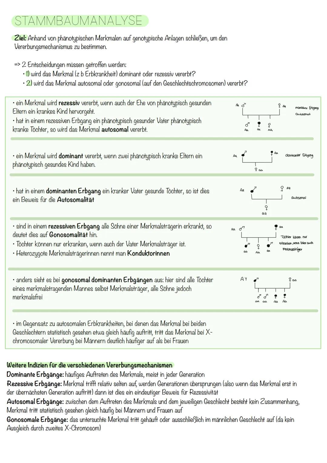 Q₁-Genetik
Molekulargenetik
AUFBAU DER DNA
• DNA - Desoxyribonukleinsäure
=
•
Watson-Crick-Modell:
-die beiden Einzelstränge sind in einer D