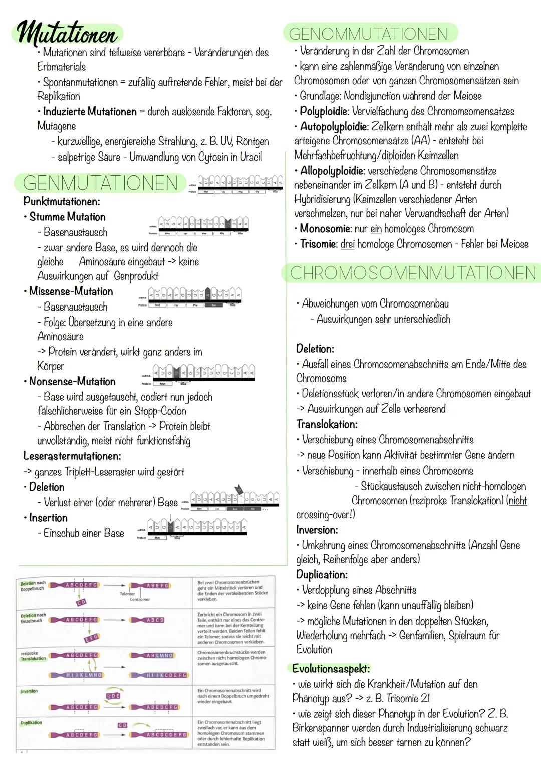 Q₁-Genetik
Molekulargenetik
AUFBAU DER DNA
• DNA - Desoxyribonukleinsäure
=
•
Watson-Crick-Modell:
-die beiden Einzelstränge sind in einer D