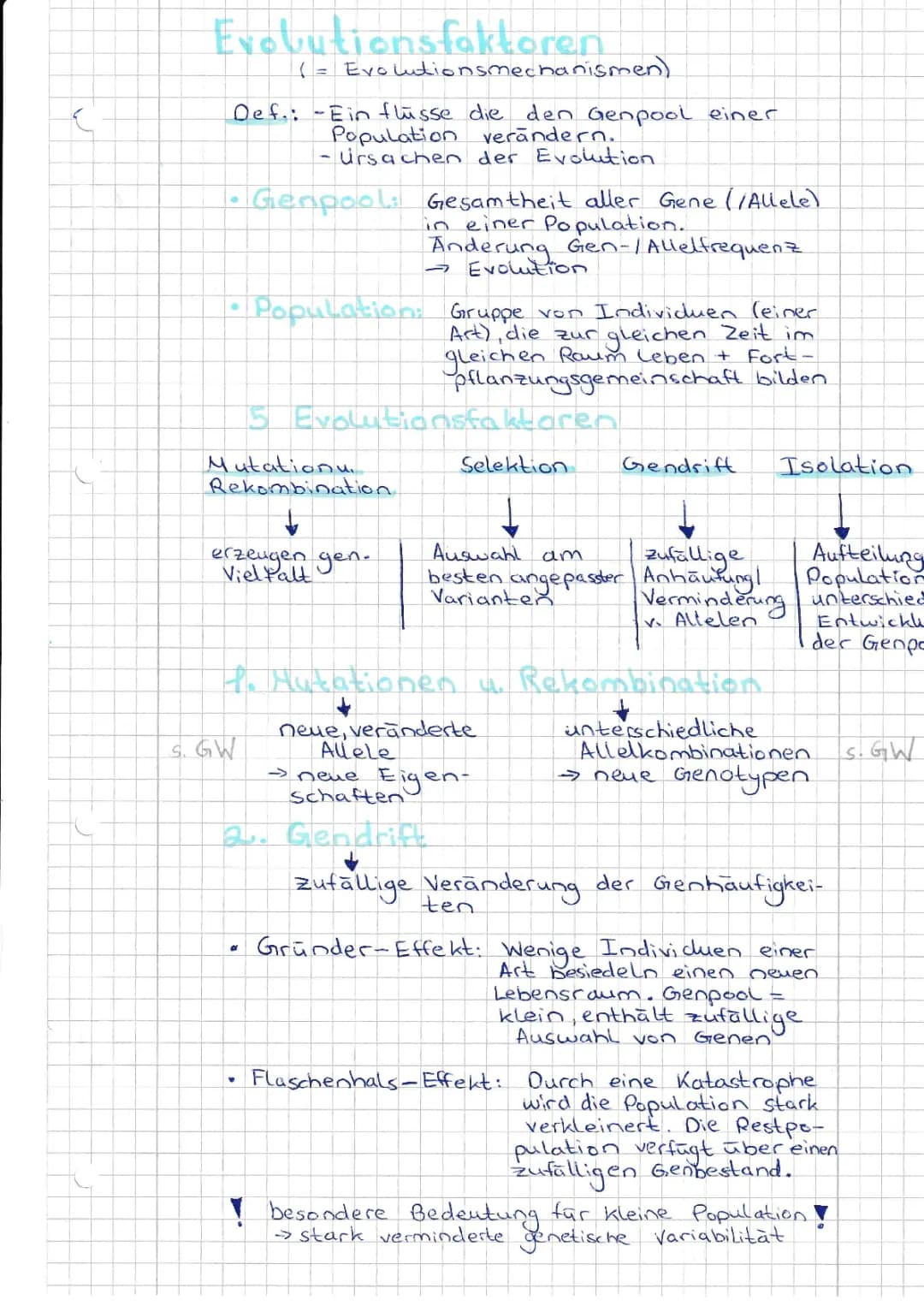 Evolutionsfaktoren/-mechanismen