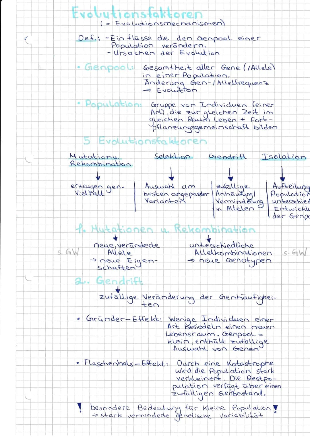 Evolutionsfaktoren
(= Evolutionsmechanismen)
Def.: Einflusse die den Genpool einer
Population verändern.
- Ursachen der Evolution.
•
15 Evol