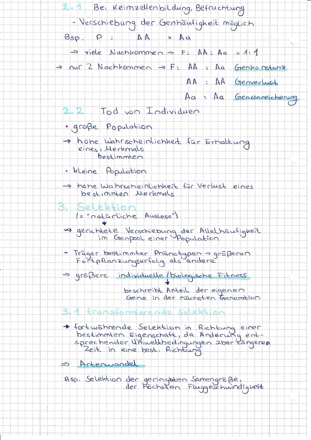 Evolutionsfaktoren
(= Evolutionsmechanismen)
Def.: Einflusse die den Genpool einer
Population verändern.
- Ursachen der Evolution.
•
15 Evol