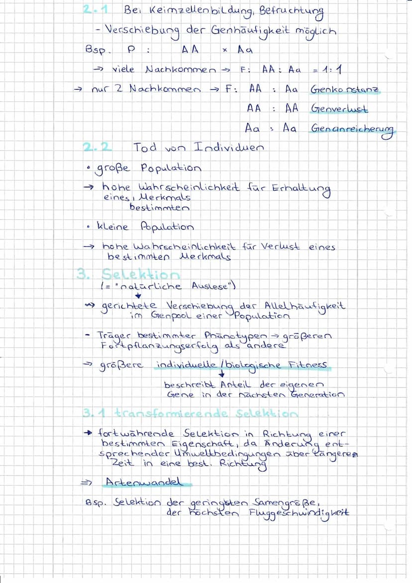 Evolutionsfaktoren
(= Evolutionsmechanismen)
Def.: Einflusse die den Genpool einer
Population verändern.
- Ursachen der Evolution.
•
15 Evol