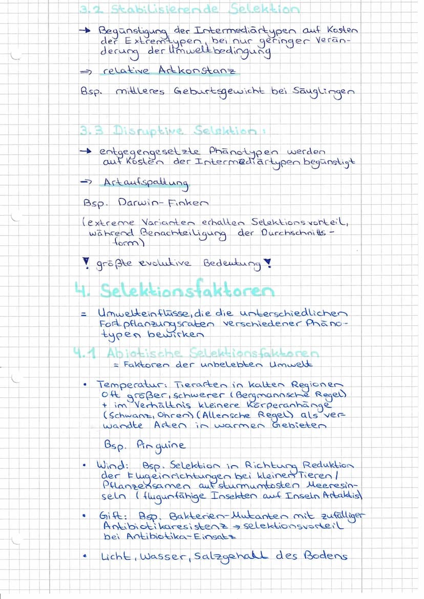 Evolutionsfaktoren
(= Evolutionsmechanismen)
Def.: Einflusse die den Genpool einer
Population verändern.
- Ursachen der Evolution.
•
15 Evol