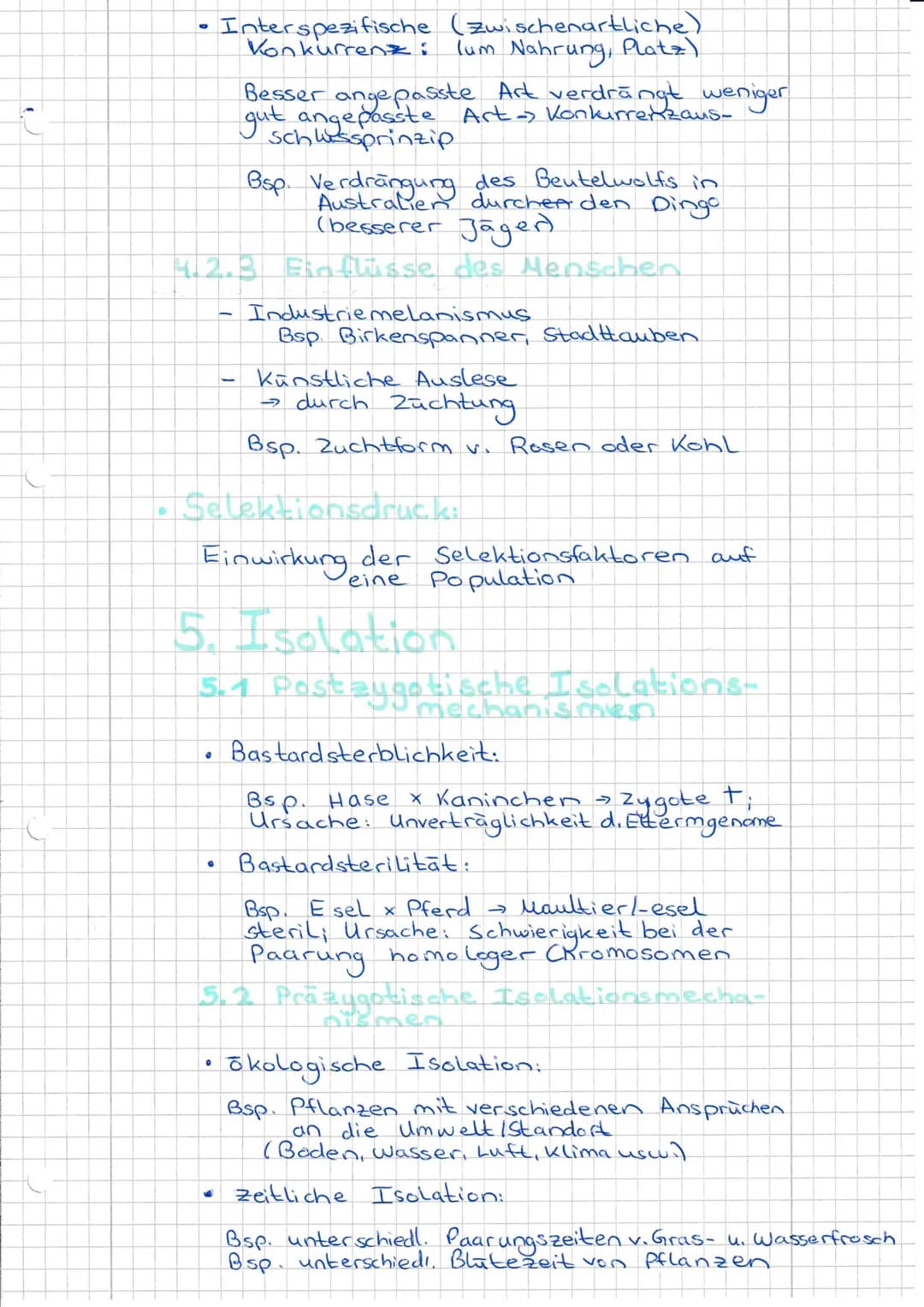 Evolutionsfaktoren
(= Evolutionsmechanismen)
Def.: Einflusse die den Genpool einer
Population verändern.
- Ursachen der Evolution.
•
15 Evol