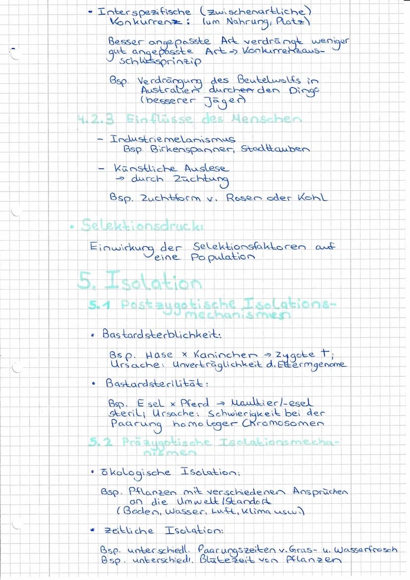Evolutionsfaktoren
(= Evolutionsmechanismen)
Def.: Einflusse die den Genpool einer
Population verändern.
- Ursachen der Evolution.
•
15 Evol