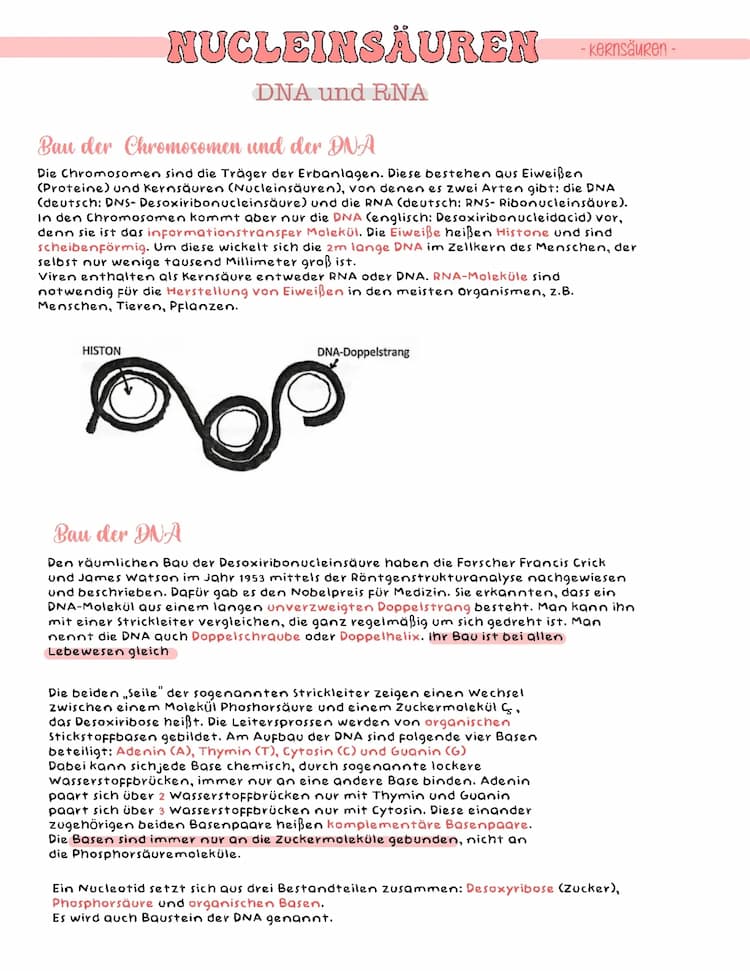 Know DNA und RNA  thumbnail