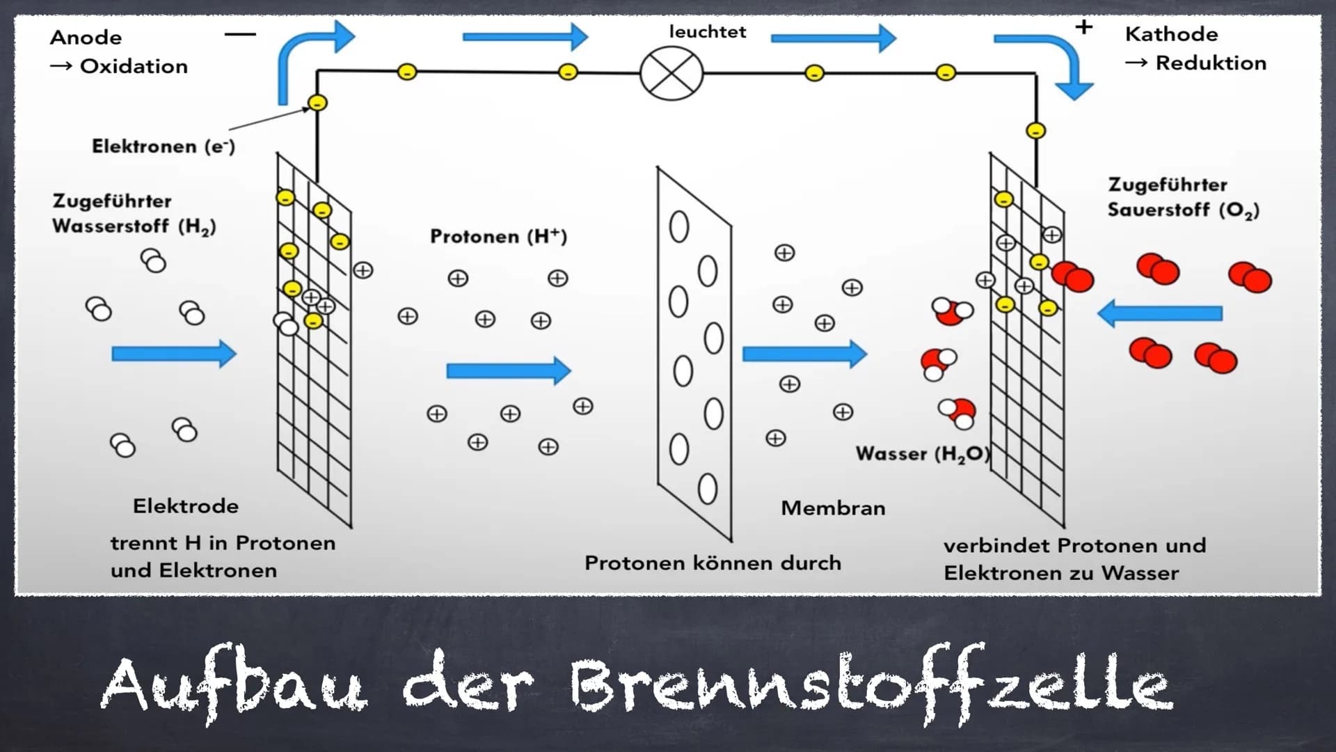 Aufbau
Die Brennstoffzelle
Funktionsweise
Reaktionsgleichung
Sonstiges
Verwendung
Vor-/ Nachteile Anode
→ Oxidation
Elektronen (e-)
Zugeführ