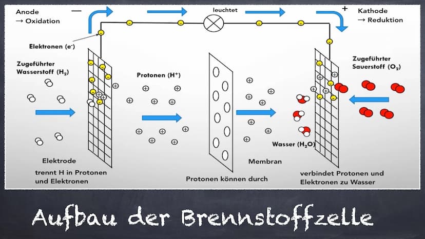 Aufbau
Die Brennstoffzelle
Funktionsweise
Reaktionsgleichung
Sonstiges
Verwendung
Vor-/ Nachteile Anode
→ Oxidation
Elektronen (e-)
Zugeführ