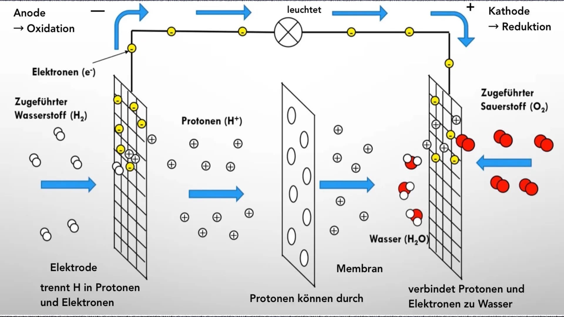 Aufbau
Die Brennstoffzelle
Funktionsweise
Reaktionsgleichung
Sonstiges
Verwendung
Vor-/ Nachteile Anode
→ Oxidation
Elektronen (e-)
Zugeführ