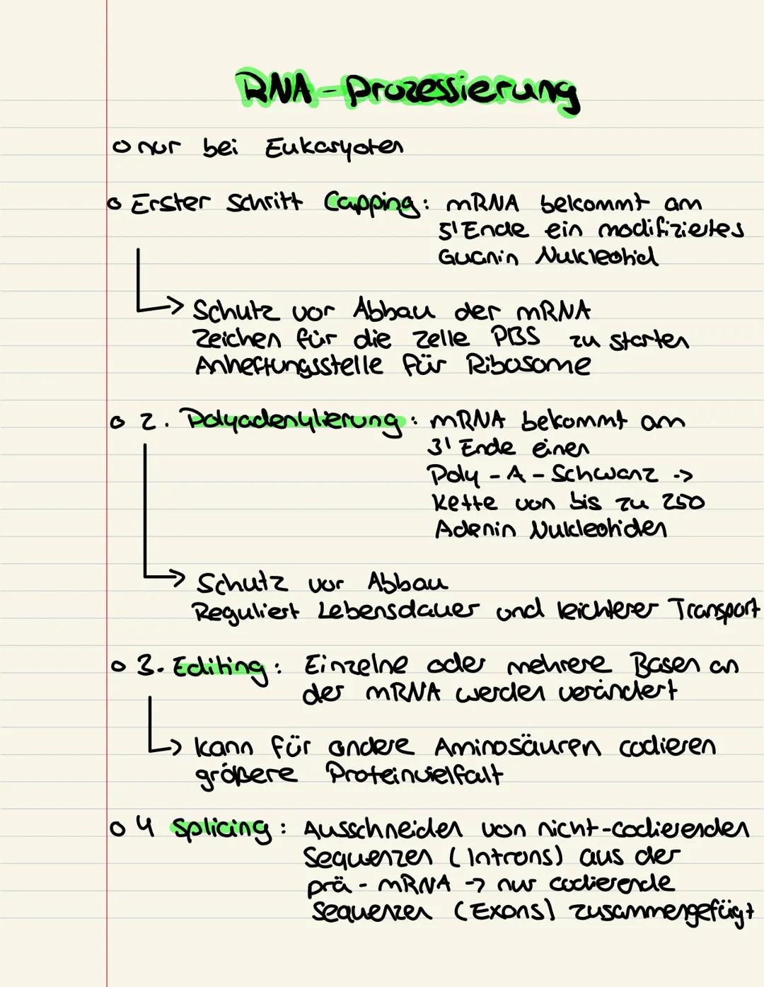 RNA-Prozessierung
onur bei Eukaryoten
• Erster Schritt Capping: mRNA bekommt am
S'Ende ein modifiziertes
Guanin Nukleotid
↳
Schutz vor Abbau