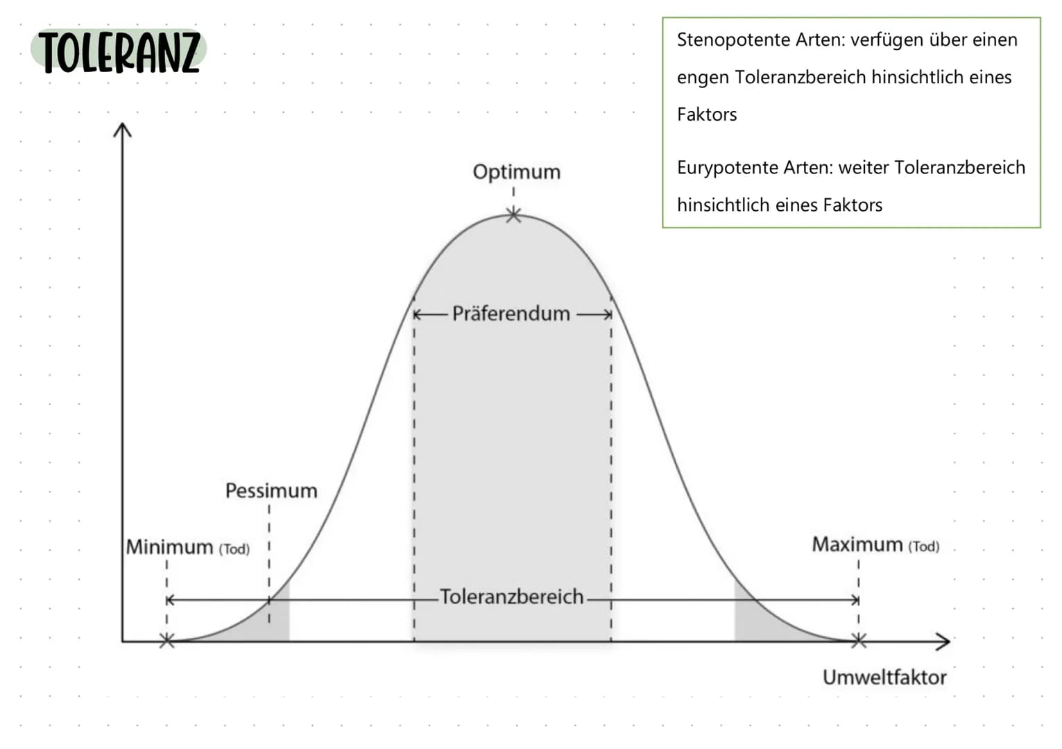 ÖKOLOgie BIOLOGIE KLAUSUR Q2
Themen
ABIOTISCHE Faktoren
-
Temperatur
- General.
- Tiere.
- Pflanzen.
Licht
→> Handout
Wasser
- Blattaufbau
-