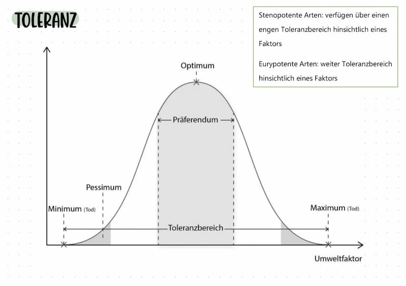 ÖKOLOgie BIOLOGIE KLAUSUR Q2
Themen
ABIOTISCHE Faktoren
-
Temperatur
- General.
- Tiere.
- Pflanzen.
Licht
→> Handout
Wasser
- Blattaufbau
-