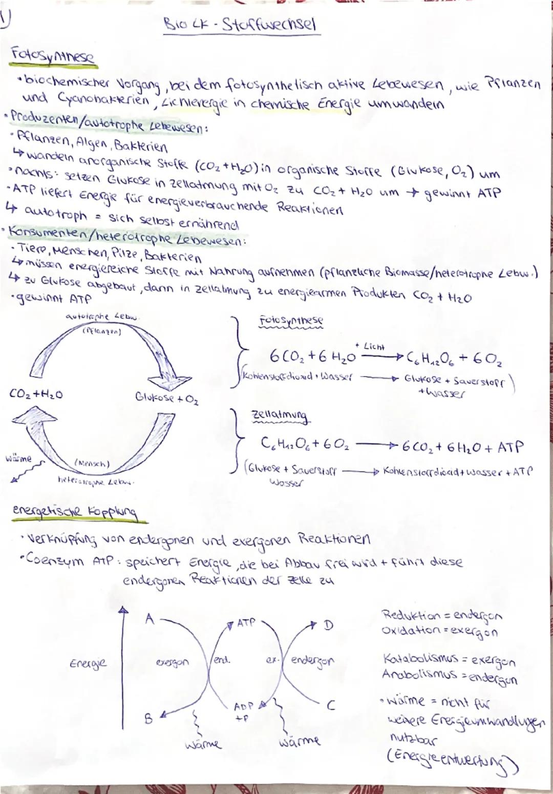 ## Fotosynthese

*biochemischer Vorgang, bei dem fotosynthetisch aktive Lebewesen, wie Pflanzen
und Cyanobakterien, Lichtenergie in chemisch