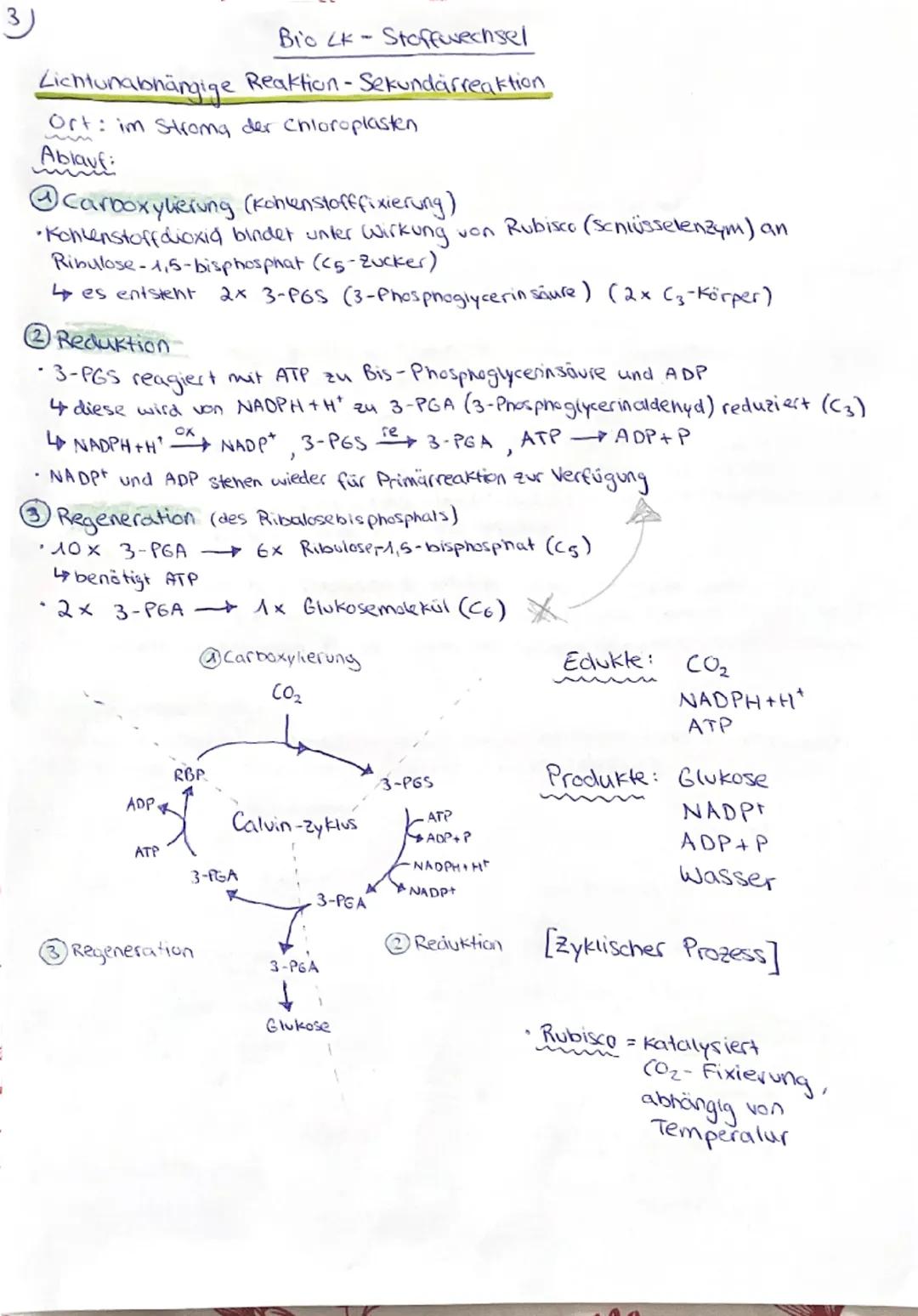 ## Fotosynthese

*biochemischer Vorgang, bei dem fotosynthetisch aktive Lebewesen, wie Pflanzen
und Cyanobakterien, Lichtenergie in chemisch