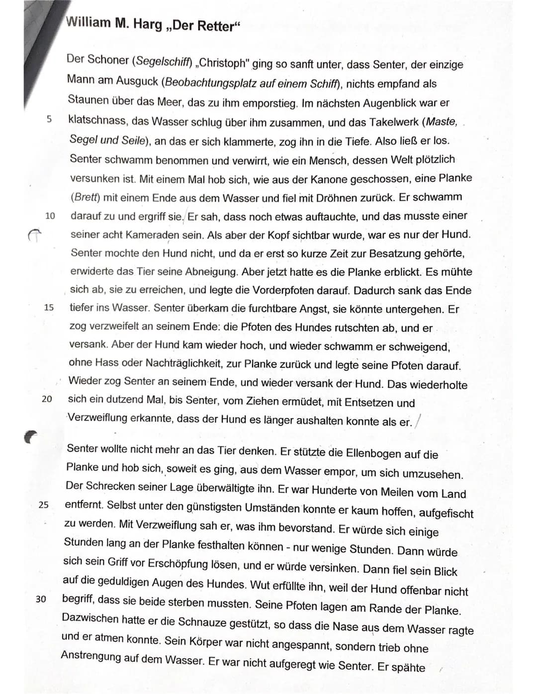 
<p>Die Kurzgeschichte "Der Retter" von William M. Harg handelt von einem Mann und einem Hund, die nach dem Sinken ihres Schiffs im Meer tre