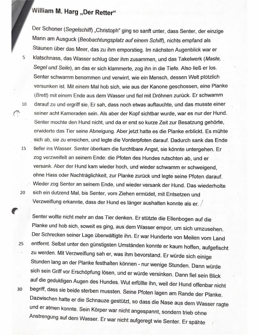 
<p>Die Kurzgeschichte "Der Retter" von William M. Harg handelt von einem Mann und einem Hund, die nach dem Sinken ihres Schiffs im Meer tre