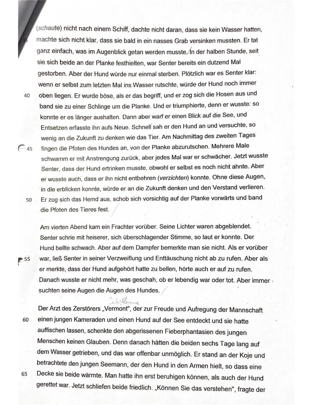 
<p>Die Kurzgeschichte "Der Retter" von William M. Harg handelt von einem Mann und einem Hund, die nach dem Sinken ihres Schiffs im Meer tre