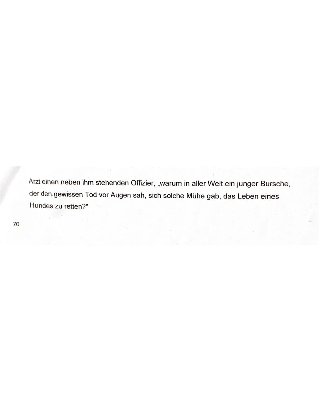 
<p>Die Kurzgeschichte "Der Retter" von William M. Harg handelt von einem Mann und einem Hund, die nach dem Sinken ihres Schiffs im Meer tre