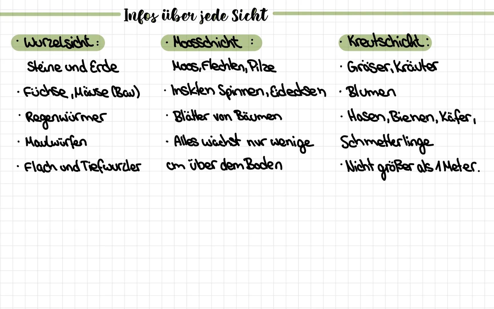 # Die Stockwerke des Waldes

->Kronenschicht

-Baumschicht

> Stammschicht
Strauchschicht

→Krautschicht
Moosschicht
Boden und Wurzel sicht 
