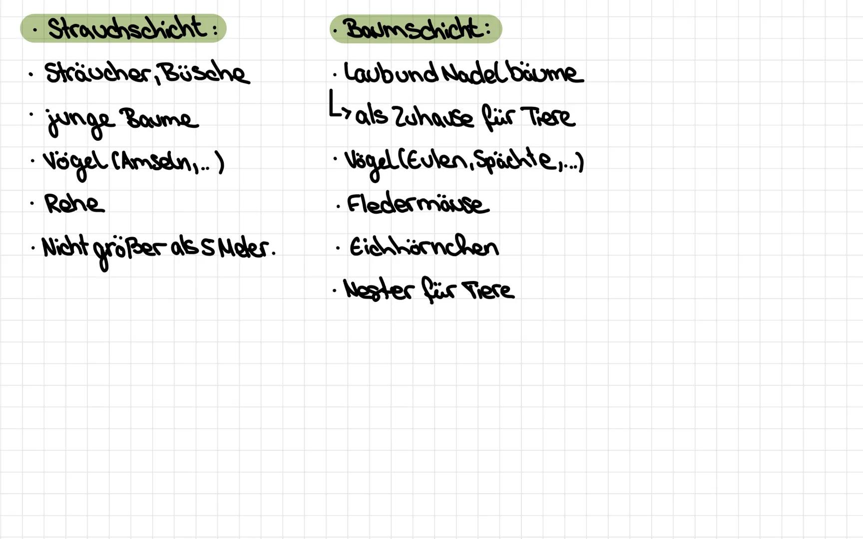 # Die Stockwerke des Waldes

->Kronenschicht

-Baumschicht

> Stammschicht
Strauchschicht

→Krautschicht
Moosschicht
Boden und Wurzel sicht 
