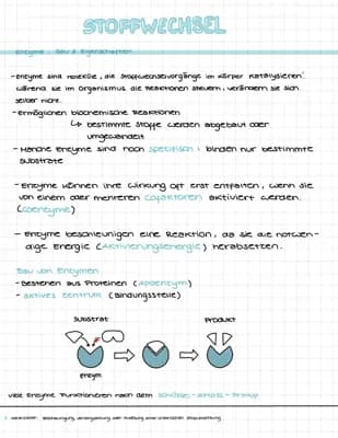 Know Stoffwechsel (Glycolyse, Citratzyklus, Atmungskette) thumbnail