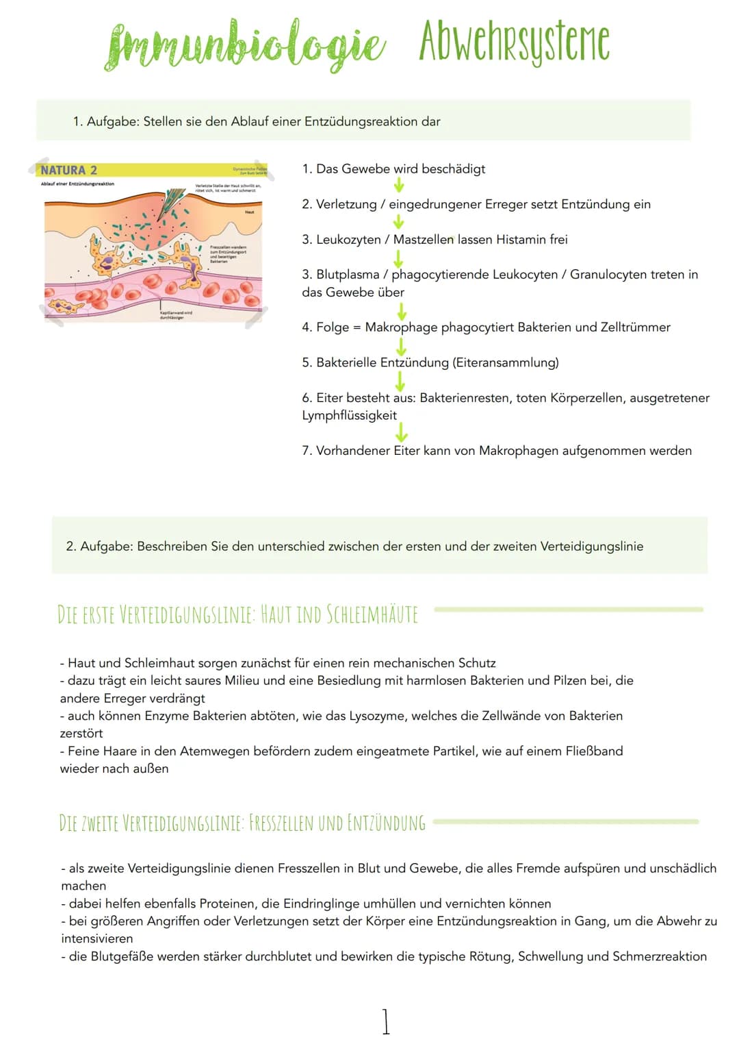 Immunbiologie Abwehrsysteme
1. Aufgabe: Stellen sie den Ablauf einer Entzüdungsreaktion dar
NATURA 2
Ablauf einer Entzündungsreaktion
durchl