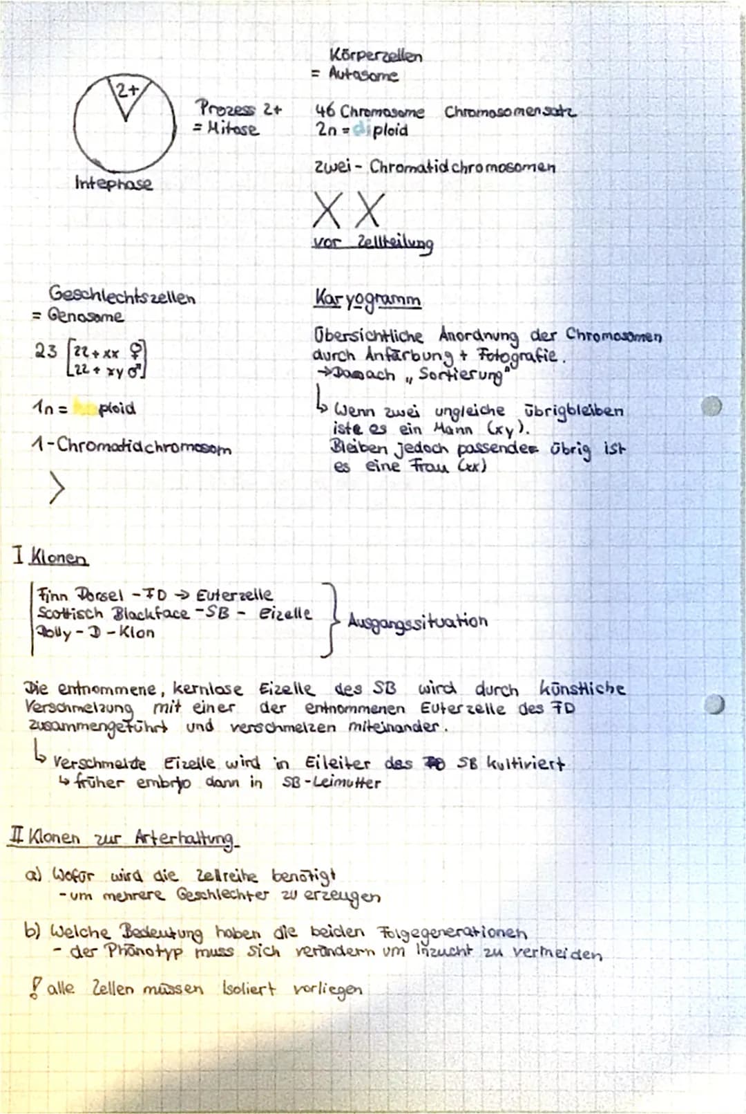 BIOLOGIE LERNZETTEL
Mitose und Zellteilung-
Die Plaasen
Interphase: Chromosomen im Zellkern, Erbinformation unsehbar (Arbeitsform
Mitose/Pro
