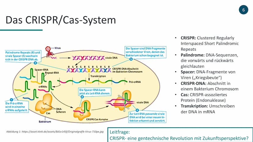 Ich stelle euch heute die revolutionäre Methode der Genom-Editierung CRISPR/Cas9
vor. Am Ende dieses Vortrages werdet ihr ungefähr wissen wi