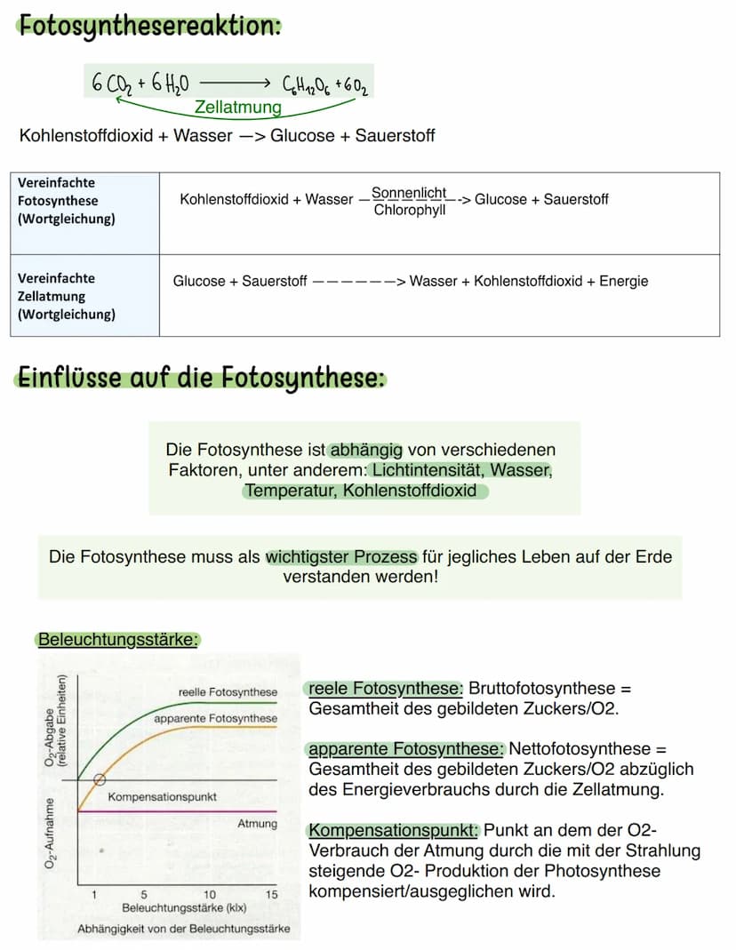 5) Fotocynthese = Herstellung des Lichts
• Ort der Fotosynthese: Chloroplasten
• Ort der Zellatmung: Mitochondrien
Aufbau eines Chloroplasts