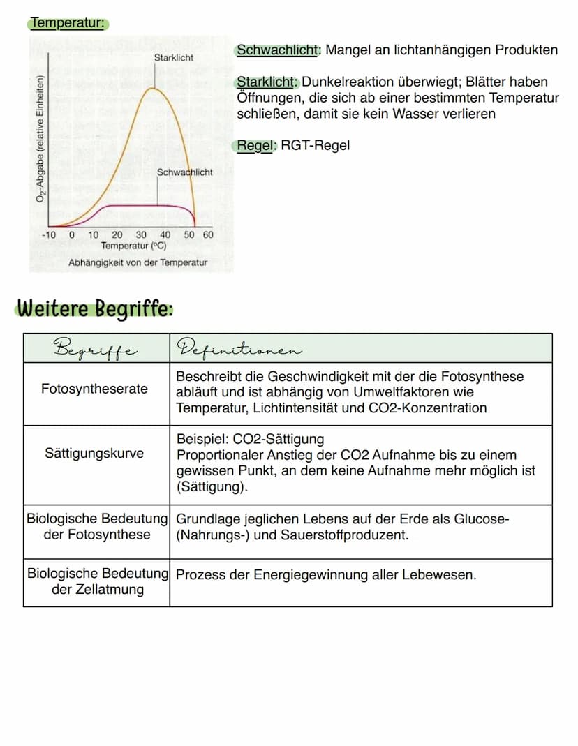 5) Fotocynthese = Herstellung des Lichts
• Ort der Fotosynthese: Chloroplasten
• Ort der Zellatmung: Mitochondrien
Aufbau eines Chloroplasts