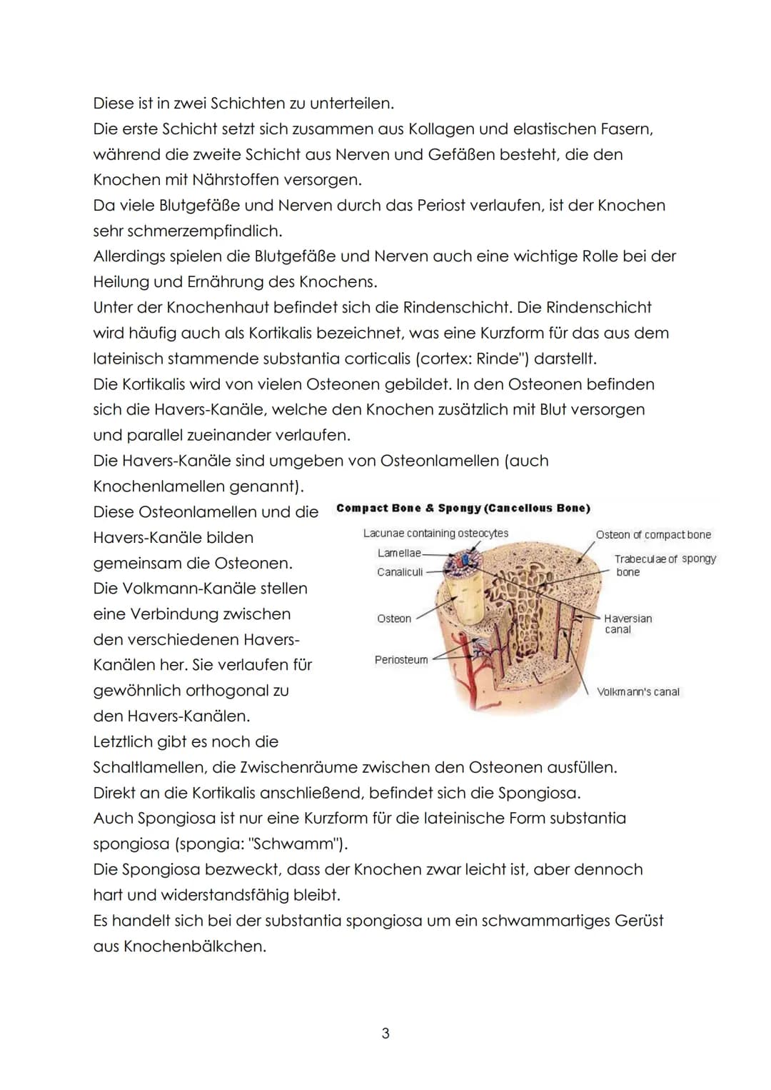 Definition
,,Bei der forensisch-anthropologischen Begutachtung von unbekannten
Knochenfunden ist neben den Fragen nach Geschlecht, Alter, Ze