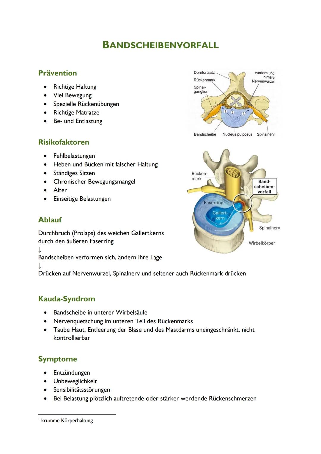 # BANDSCHEIBENVORFALL

Prävention

- Richtige Haltung
- Viel Bewegung
- Spezielle Rückenübungen
- Richtige Matratze
- Be- und Entlastung

Ri