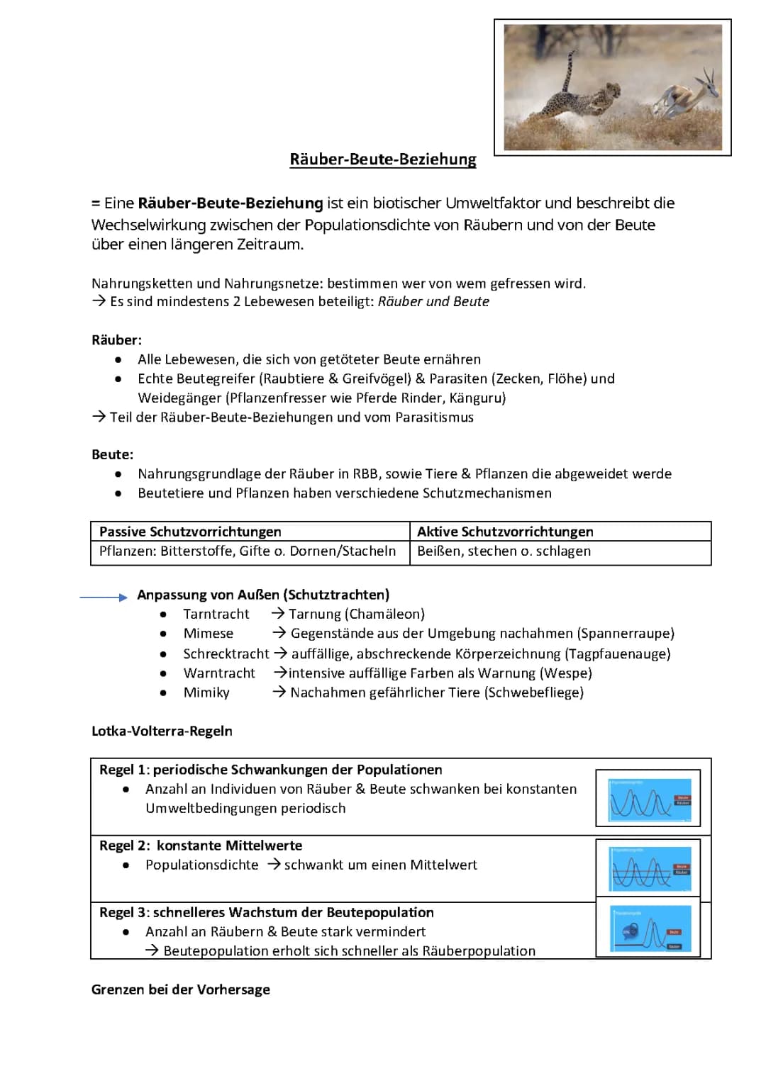 Räuber Beute Beziehung 