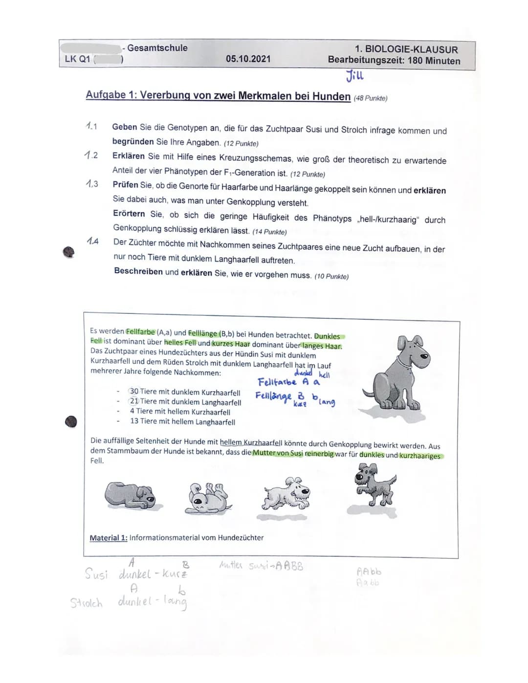 LK Q1
1.1
1.2
Aufgabe 1: Vererbung von zwei Merkmalen bei Hunden (48 Punkte)
1,3
1.4
-Gesamtschule
05.10.2021
Geben Sie die Genotypen an, di