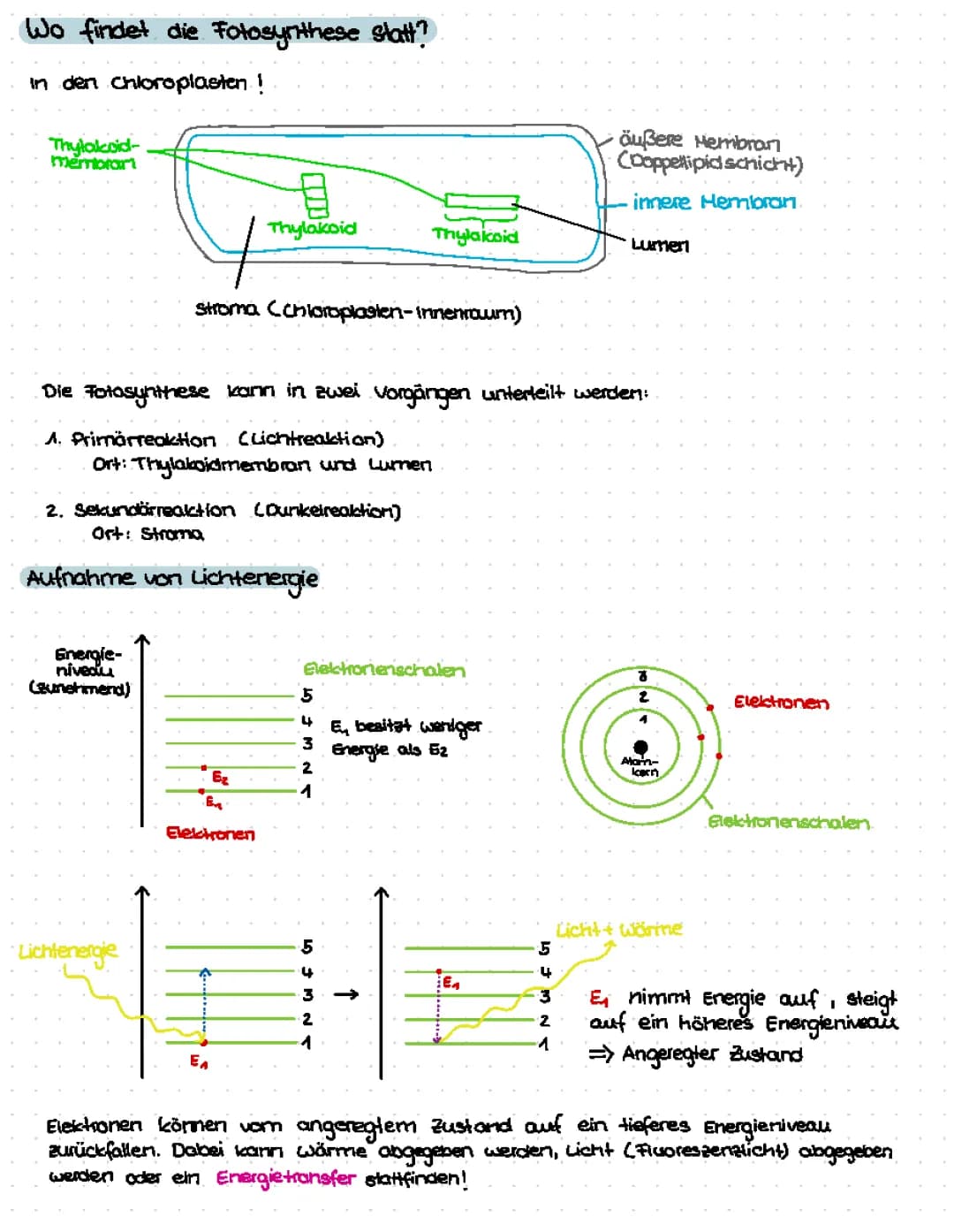 Photosynthese, Vorgänge und Zusammenfassung 