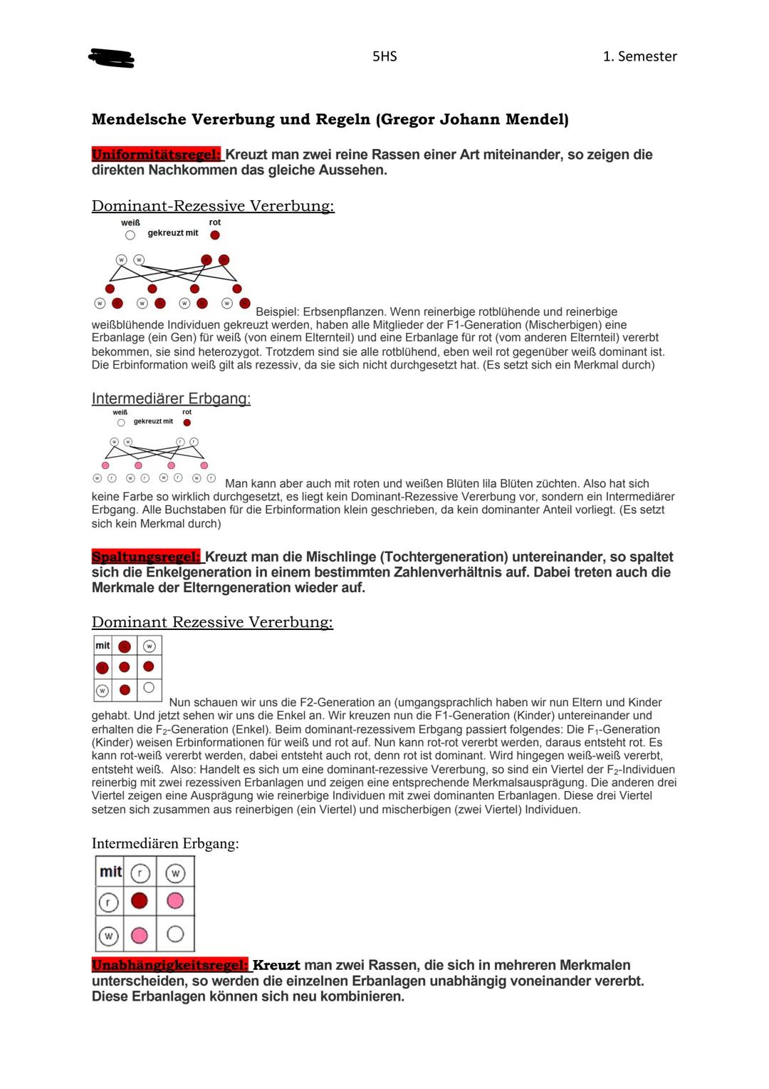 5HS
Genetik
Siehe Zelle (1 Klasse)
Erbmaterial besitzt Merkmale für die weitere Entwicklung.
Chromosomen sind die Träger der Erbanlagen. Sie