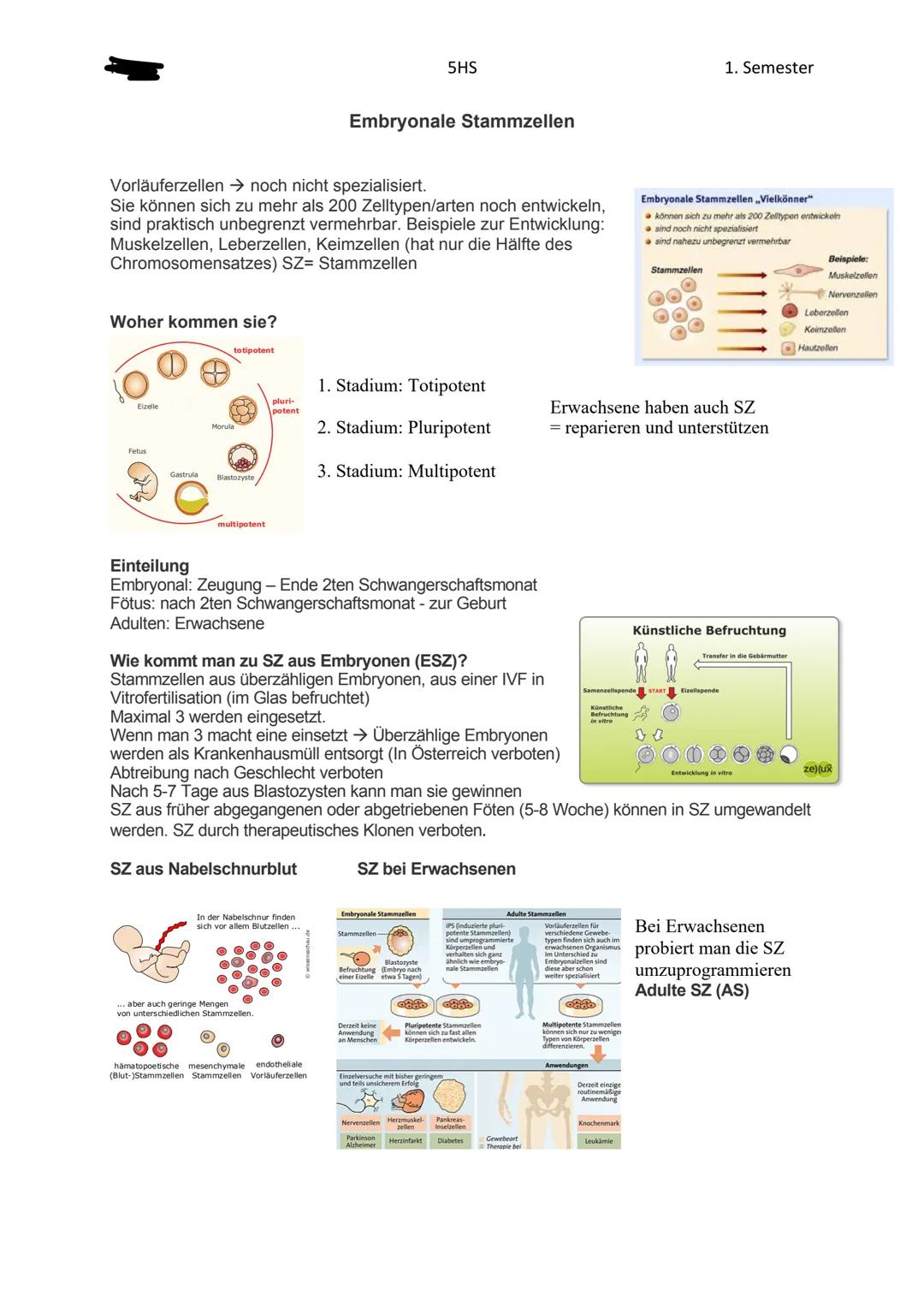 5HS
Genetik
Siehe Zelle (1 Klasse)
Erbmaterial besitzt Merkmale für die weitere Entwicklung.
Chromosomen sind die Träger der Erbanlagen. Sie