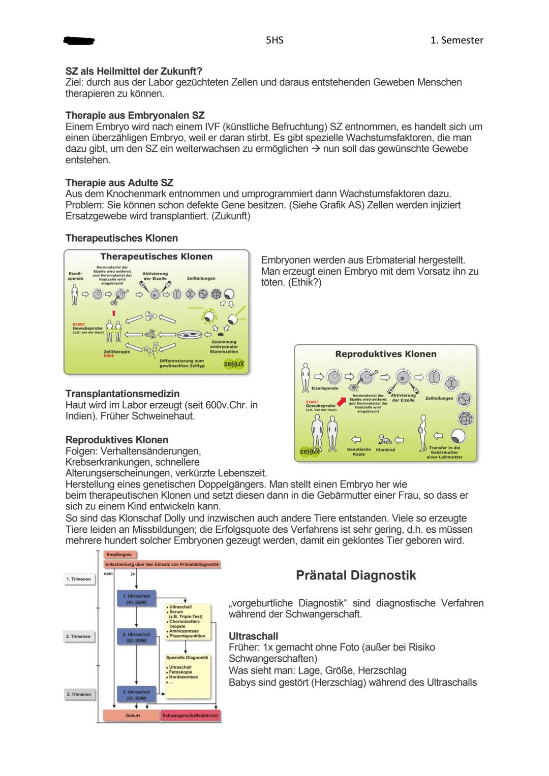 5HS
Genetik
Siehe Zelle (1 Klasse)
Erbmaterial besitzt Merkmale für die weitere Entwicklung.
Chromosomen sind die Träger der Erbanlagen. Sie