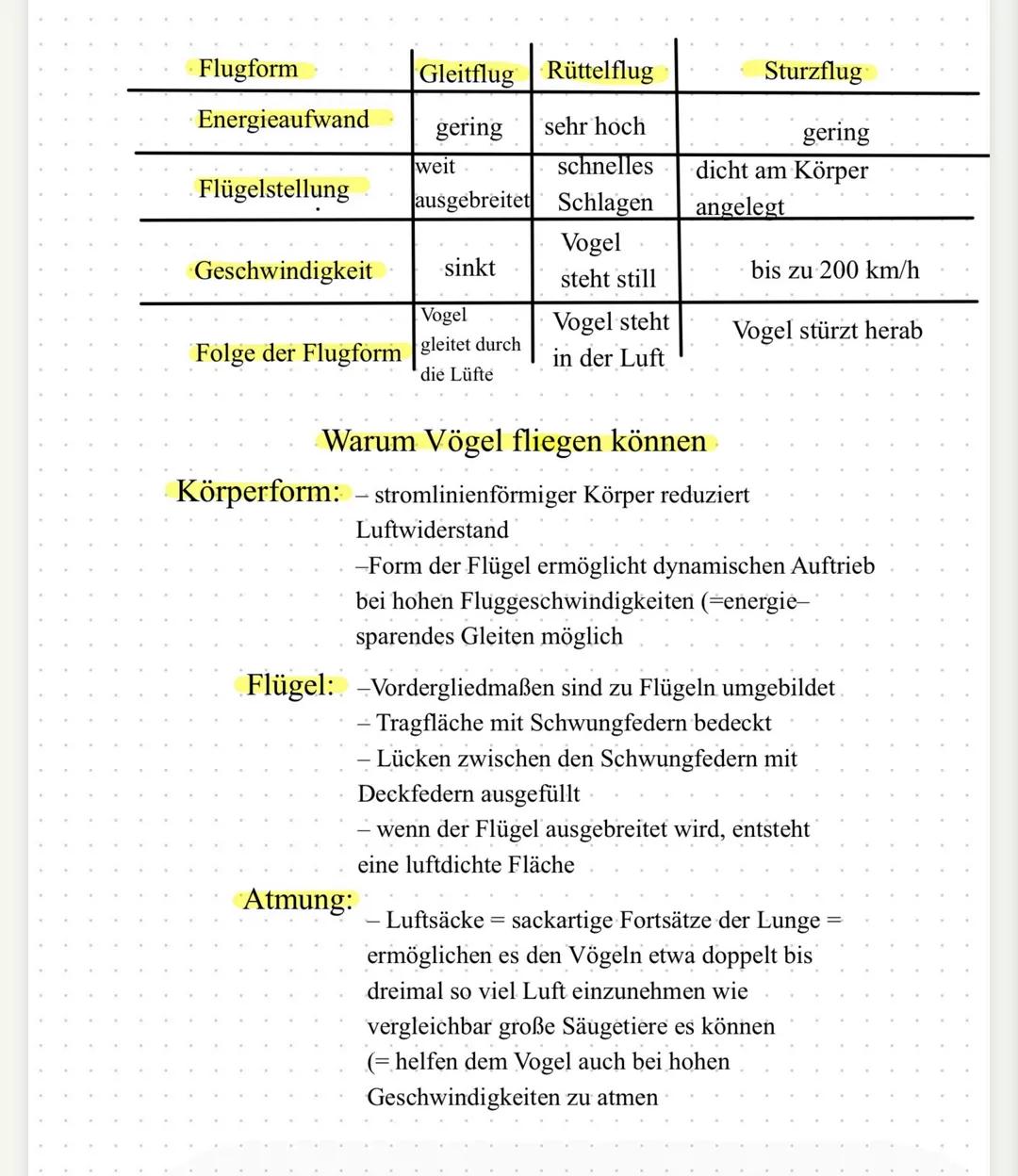 Flugform
Energieaufwand
Flügelstellung
Geschwindigkeit
Gleitflug Rüttelflug
gering sehr hoch
weit
schnelles
ausgebreitet Schlagen
sinkt
Voge