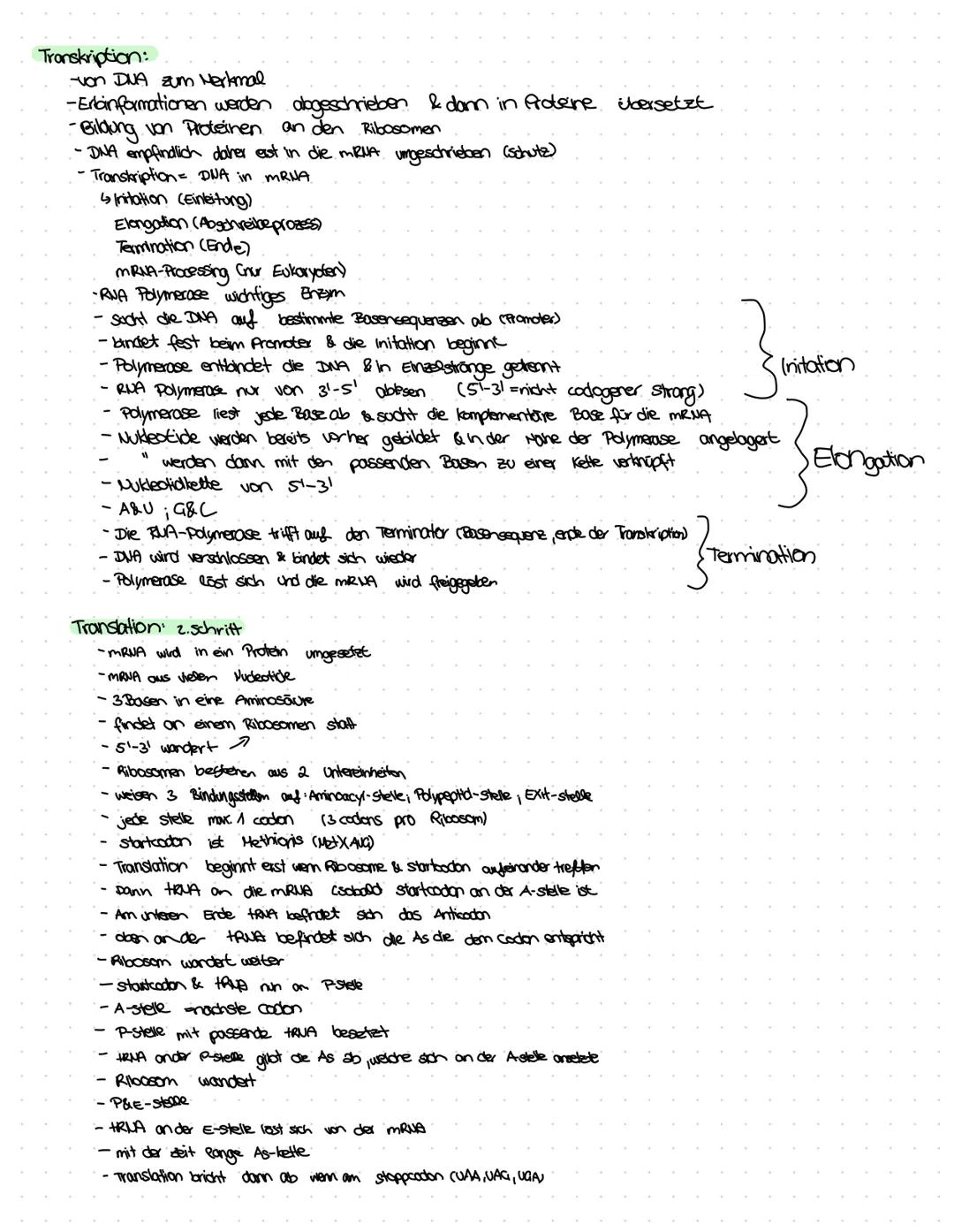 # Transkription:
-von DNA zum Herkmal
-Erlbinformationen werden alogeschrieben & dam in Proteine übersetzt
-Bildung von Proteinen an den Rib